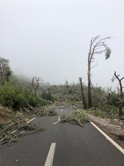 CronicaBalear_'s tweet photo. Así ha quedado la carretera Esporles - Valldemossa tras la fuerte #granizada que ha caído esta mañana en distintos puntos de #Mallorca https://t.co/DQJWyI6o44