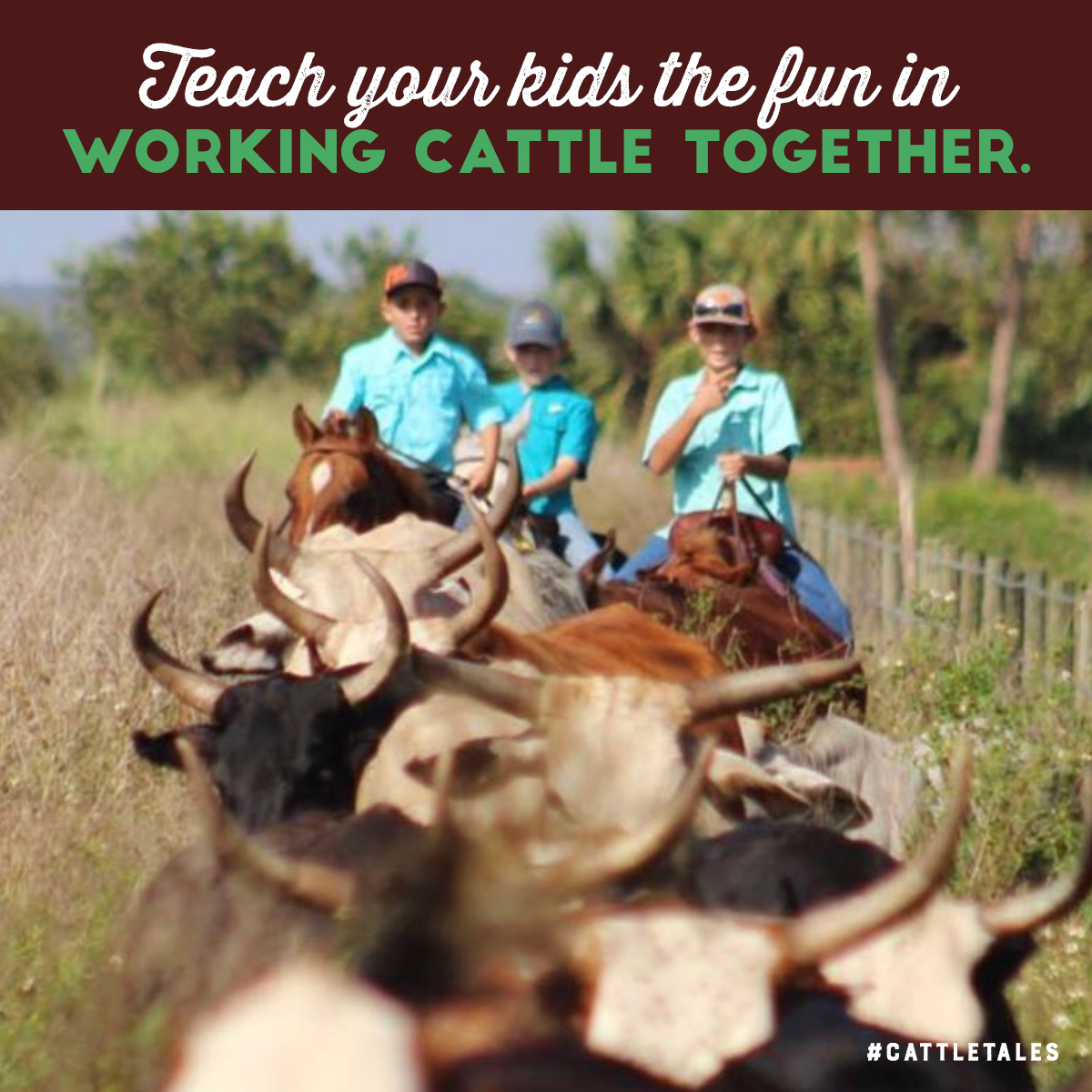 CattleTales's tweet image. #FamilyFunMonth because riding horses to gather cows is so much more than riding horses to gather cows. #HumansOfCattleTales
