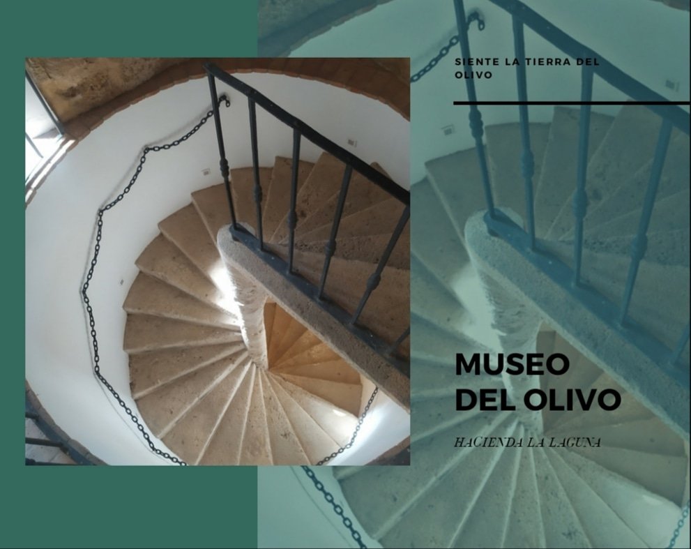 Escalera de acceso a la Bodega.
Bodega conocida en la zona como "La Catedral del Aceite"
¿Aún no la conoces?... 
✴Horario: Mañanas de martes a domingo  10:30/13:30H
✴ Degustación de aceites  (con vasitos)
✴ Opcional Audioguias en 4 idiomas 🇪🇸🇬🇧🇫🇷🇩🇪
✴953765142 /687067473
#aove