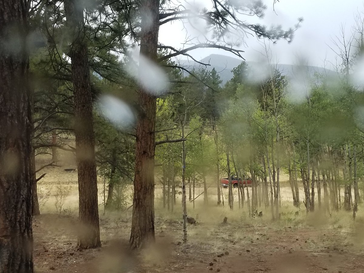 SasquatchJourn1's tweet photo. There are 3 young people in this truck. They come out to this area every couple of weeks and pick up the trash left by irresponsible campers.  They make me proud and sad at the same time. Proud they do it, sad that there is a need to. #cleanupyourtrash https://t.co/rDn2nJyiyu