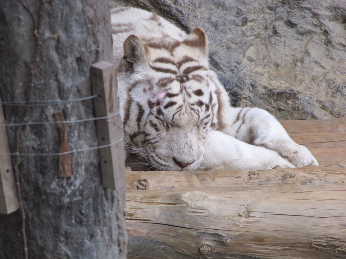 고마워.
무엇이 고맙냐. 물어본다면
역시 따라오는 그 물음이 고맙다고 말할래.

네가 있어줬잖아.

나선미, 너를 모르는 너에게