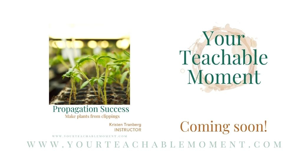 Your Teachable Moment tweet media