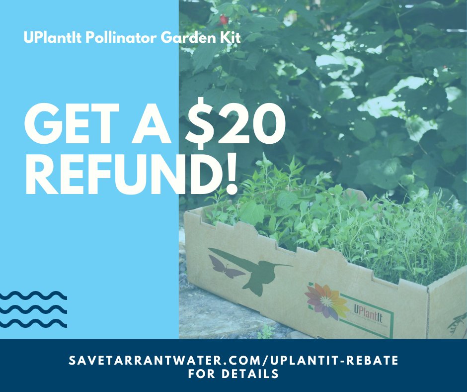 SaveTarrantH2O's tweet photo. Get a $20 rebate on a UPlantIt Pollinator Garden and build a beautiful garden this fall!

Visit https://t.co/9WRM1xEjan for eligibility information and to apply.

Join @AgriLifeWaterU for a UPlantIt Pollinator Garden virtual class https://t.co/v6GGPLM4Yu

https://t.co/rMK646vkGB https://t.co/zLYxjk64Ec