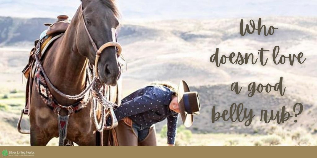 Silver Lining Herbs tweet media