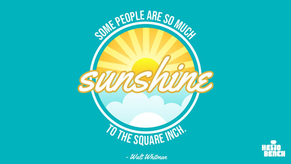 Hello Bench Project tweet media