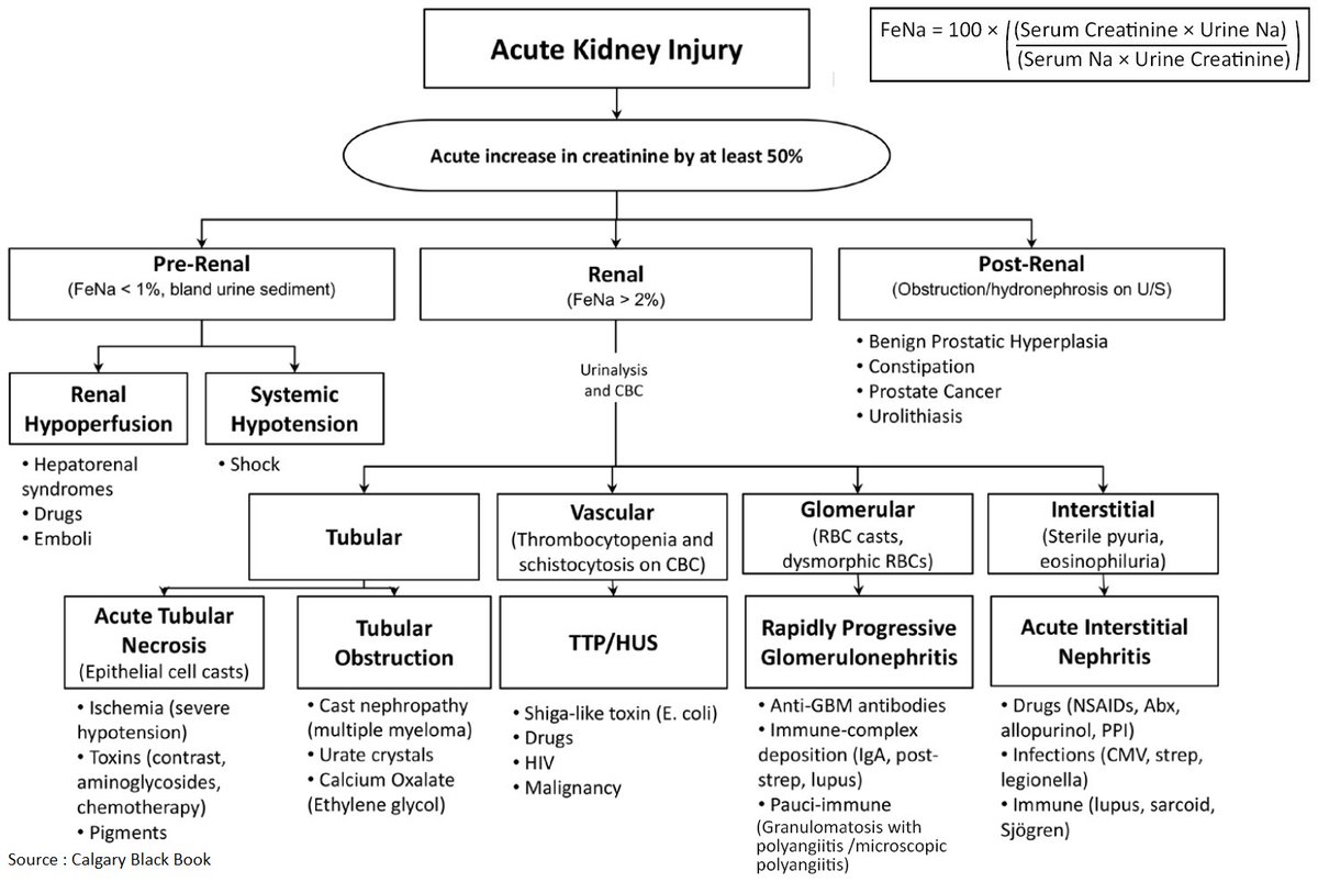 ManualOMedicine's tweet photo. Acute Kidney Injury - Causes . #meded #foamed #medtwitter #nephrology https://t.co/H905oo63ch