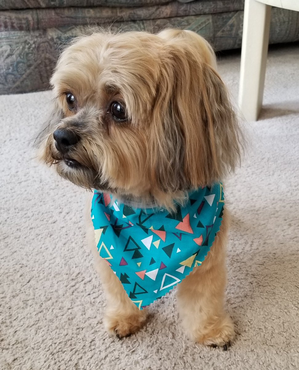 Sam Bernero tweet media