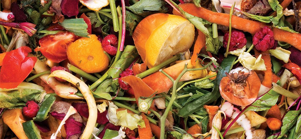 mv_magazine's tweet image. The greatest gift the compost pile gives is the humbling that comes from routine failure in the most basic of aims: To just let vegetables rot right.  #composte #Composting #fertilizer #Garden #Gardening #Organic #recycling #Vegetables mvmag.net/2017/09/02/com…