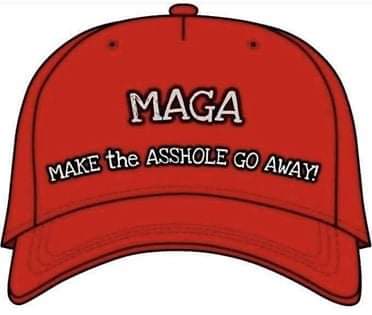 MurphyHollyBee's tweet image. 