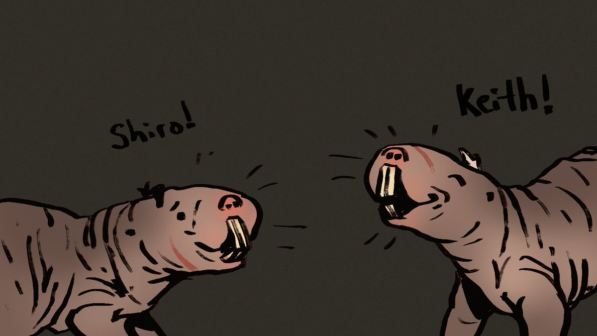 crushmeshiro's tweet photo. Some naked mole rat Sheith to hopefully bring a little nakie rat love into your morning. #CursedSheithWeek https://t.co/w1On9ddkCq