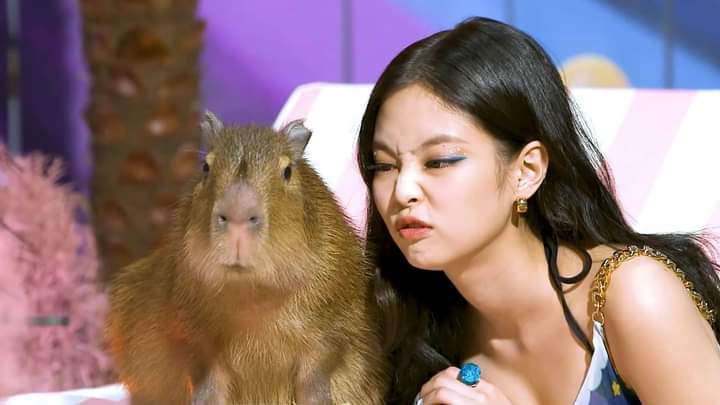 phguon2103's tweet photo. @jnkloops Aww she like a baby https://t.co/E3O60TqX3k