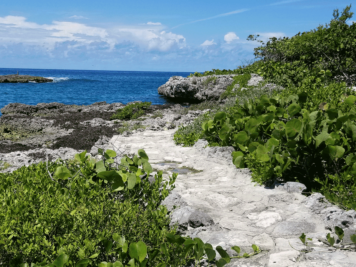 ClaveCuba (Clave_Cuba) Twitter