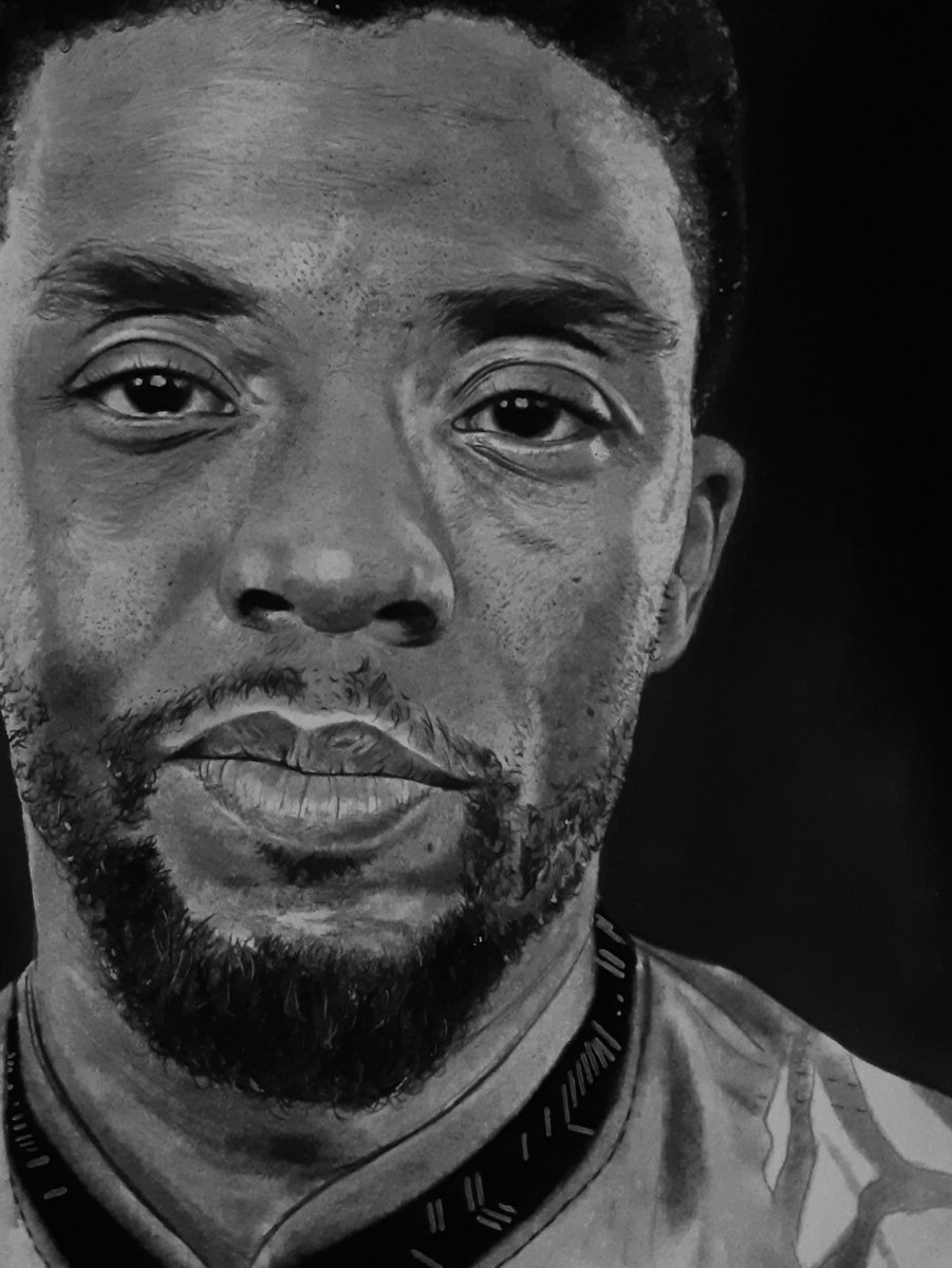 AddyBeauducel's tweet image. En hommage à Chadwick Boseman ✏
1976 - 2020

Dessin réalisé aux crayons à papier et pierre noire.