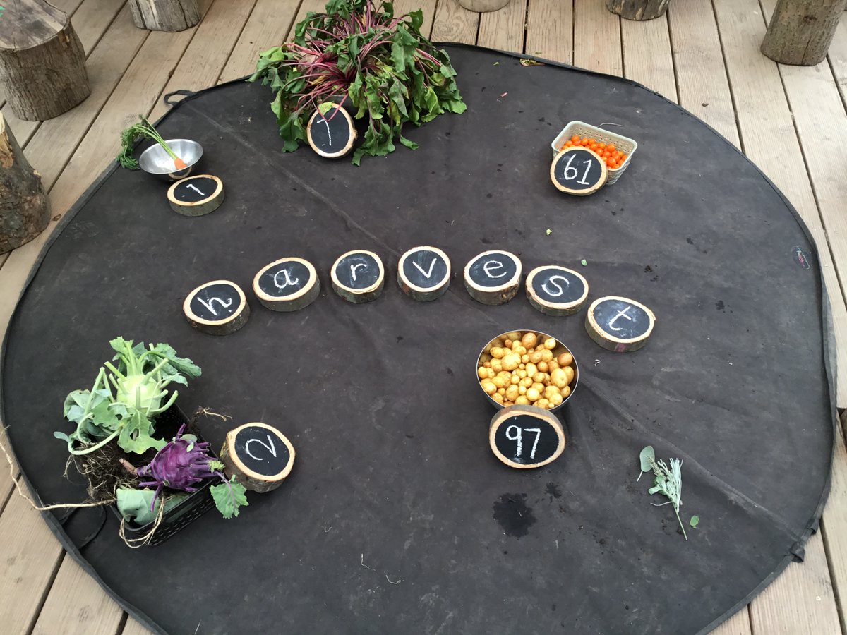 Kayleigh tweet media