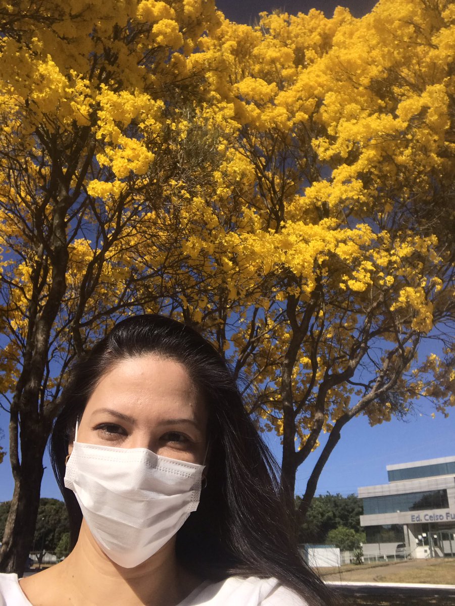 Iara C. Endo (@EndoIara) on Twitter photo 2020-08-29 16:07:11 Ipês amarelos colorindo Brasília ;) Ipês amarelos colorindo Brasília ;)