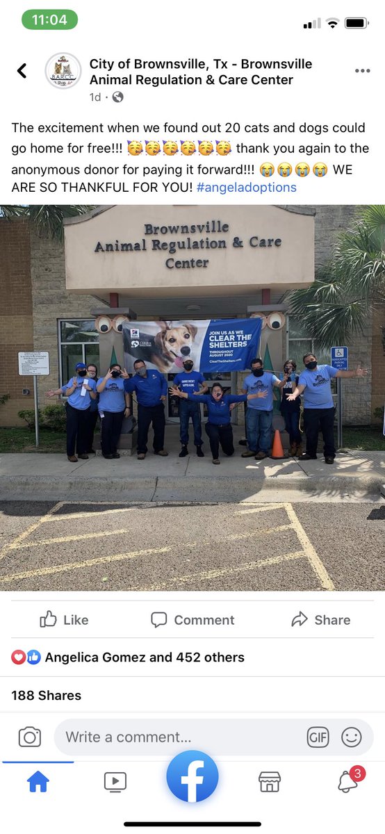 you guys 🥺 if you or someone you know wants to adopt the Brownsville shelter is having FREE adoptions today!! Get ur butts down there ❤️❤️