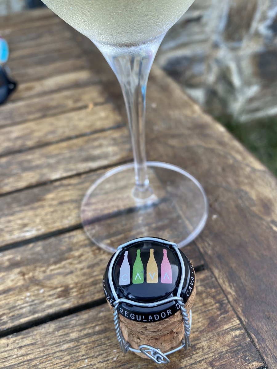 Cuál fue el último #cava qué has probado y te gusto? 

Mis últimos 3: 
-GRAN RESERVA SARA <a href="/CAVAJMFG/">CAVA FERRET GUASCH</a> 
- Blanc de Noir <a href="/juveycamps/">Juvé & Camps</a> 
- Els Capricis Xarel·lo Castanyer @CAVESVILARNAU