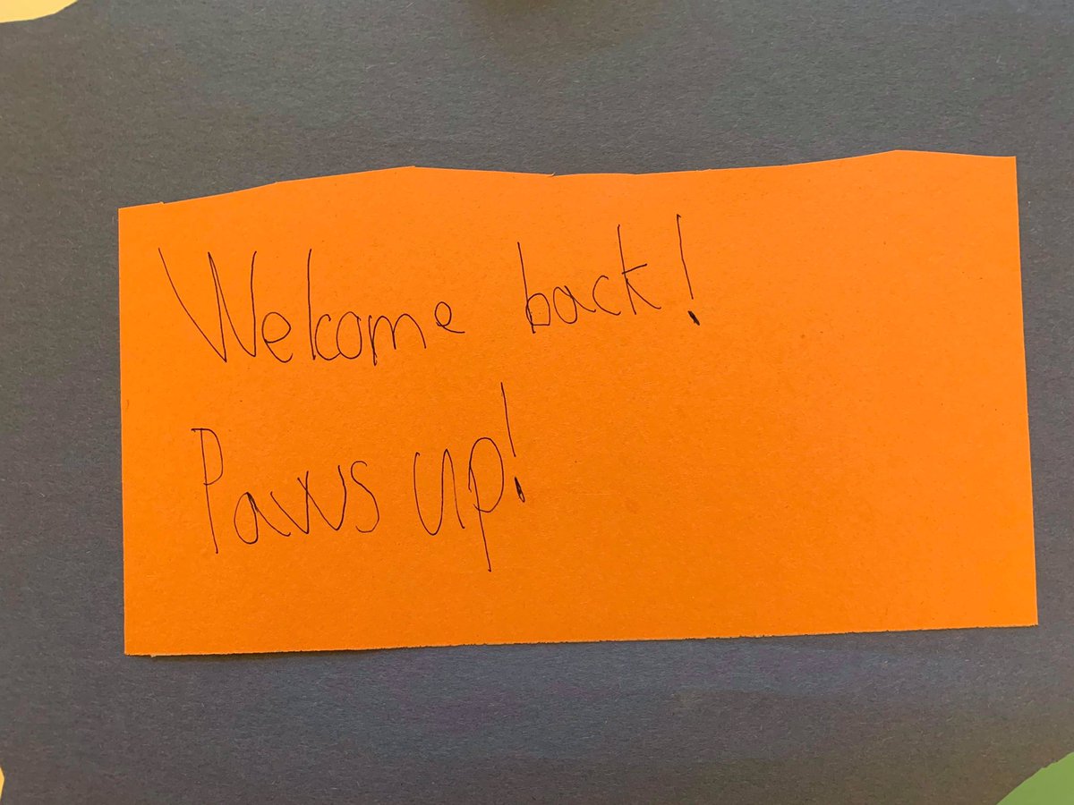 Got this pic from a 2nd grade Puma! Our “Paws are up” and we are “Pride Ready!”
#pattersonpumas #pbis #PumasJourneyBack
