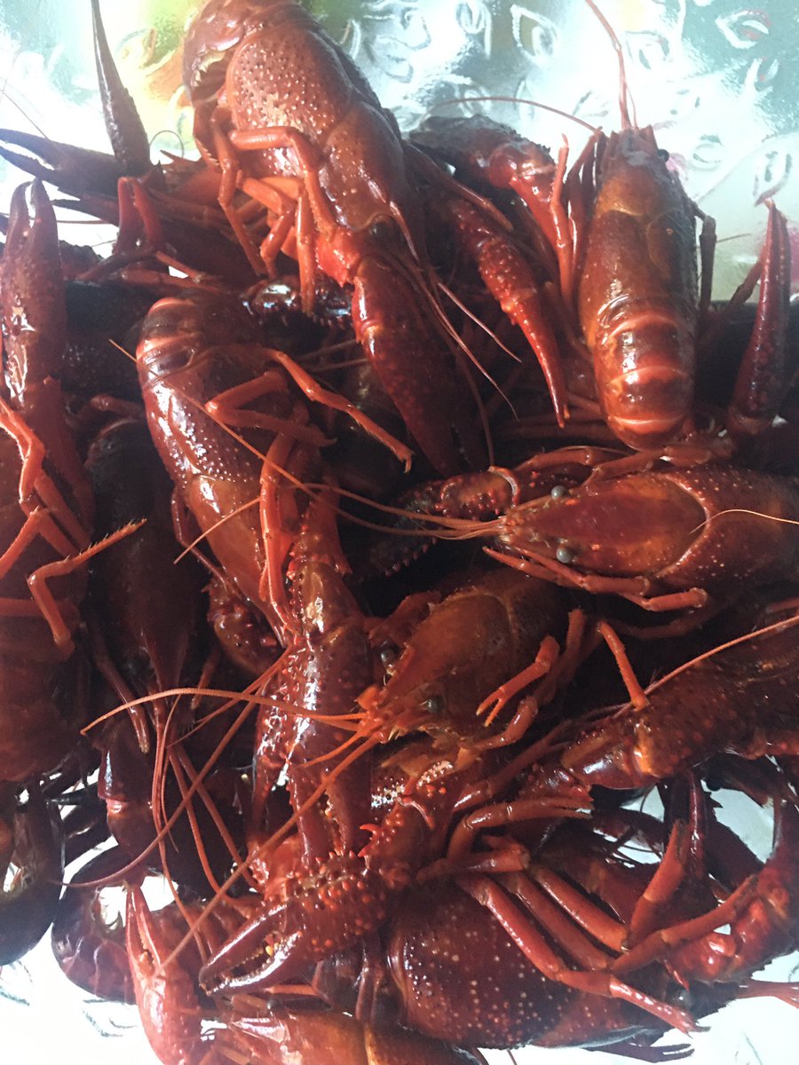 jannickep74's tweet photo. Svenska kräftor ❤️🦞🇸🇪🦞🇸🇪❤️
#myskväll #ledighelg #fångadagen #tacksam #familj #ljunghusen ❤️ https://t.co/xrvMS9V7c6