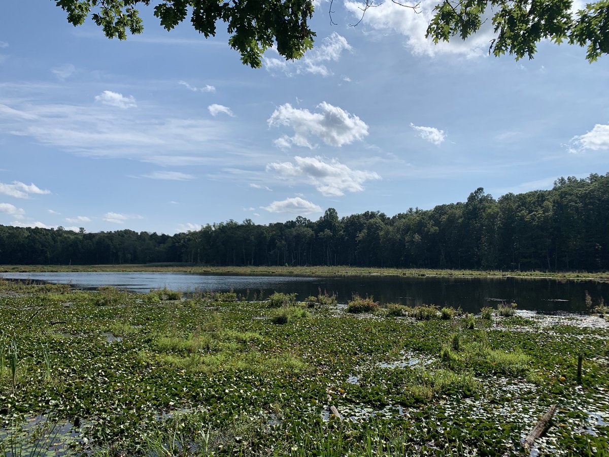 Highly recommend Hemlock Hills in Ridgefield/Danbury