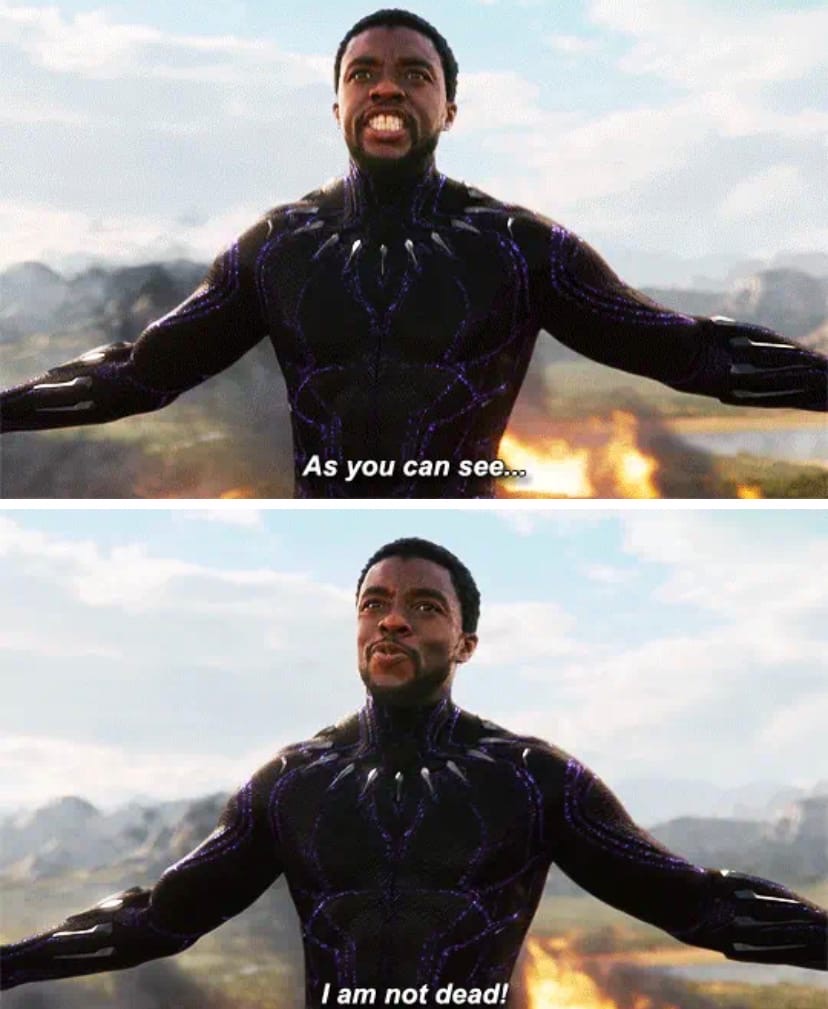 Жив как видишь. Что вижу я что видит кот. Как видят мир кошки. Зрение собак. Мир глазами кота.