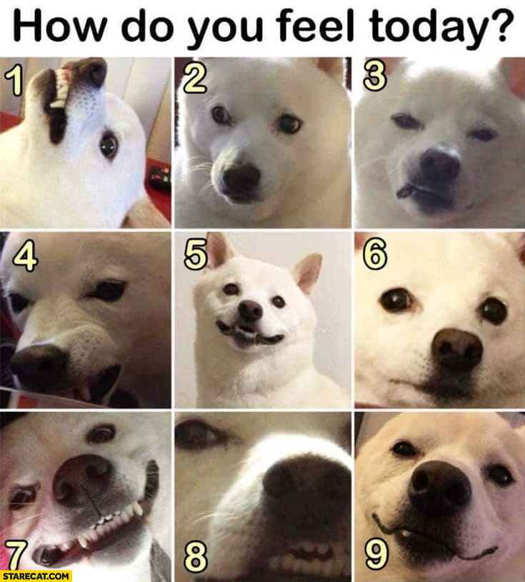 I'm collecting mood scale memes to use for my classes. What are your favorites (preferably on a scale of 1-9)?So far, I have: