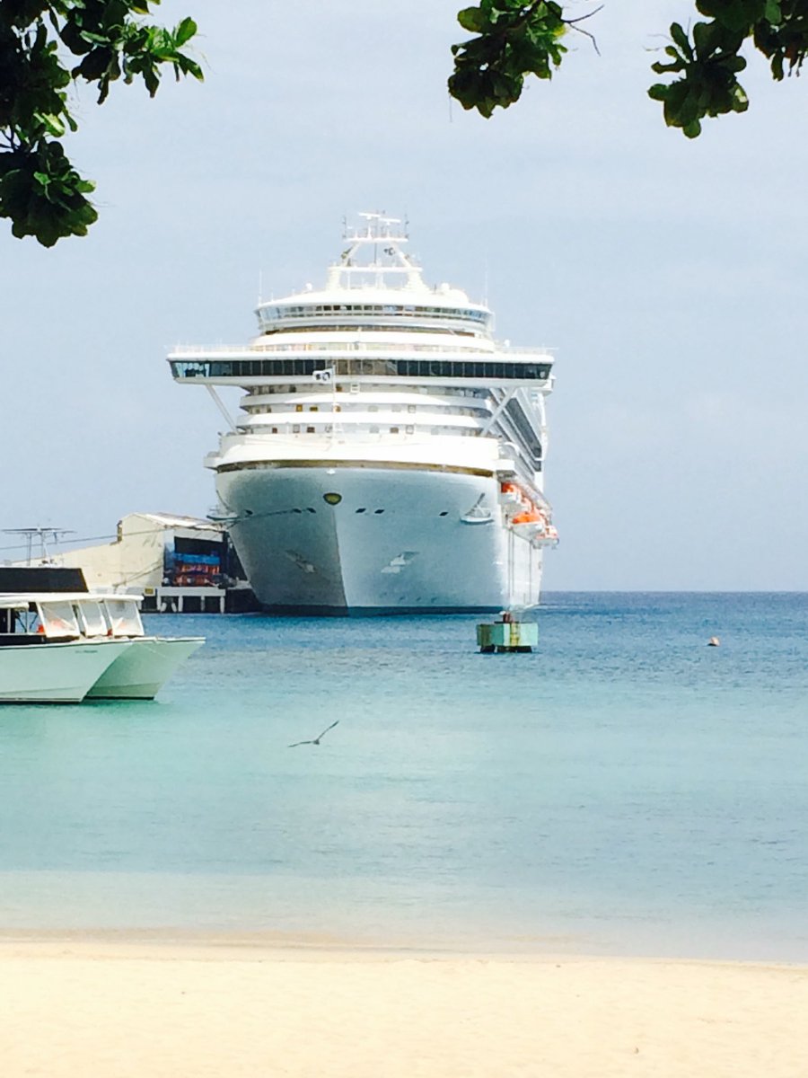 CruzinParadise's tweet photo. Cruise with Confidence! #PrincessProud Keeping you Safe &amp;Healthy ! #ComeBackNew #EscapeCompletely #CruiseLife @DirkBrandPC @PrincessCruises Jan Swartz #WeMissYou https://t.co/Ov72kiH4bl