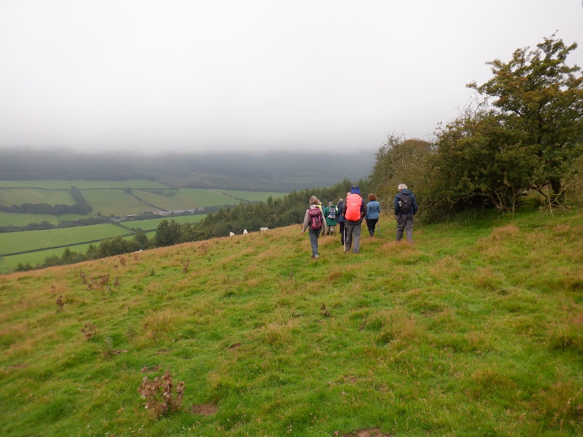 Duncan_Smart1's tweet photo. Thursday 27th August 7.3 miles with @lrcwalks from Cascob to Springs Wood, Ackwood Lane and Dyffryn YTD 801 miles towards #walk1000miles Rather a soggy day but a great walk to be repeated in better weather! https://t.co/7KJ7BIC6SC
