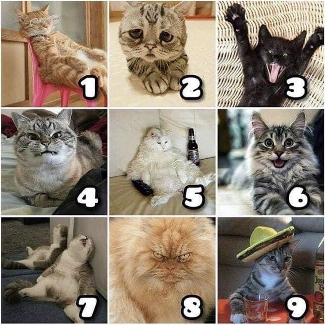 I'm collecting mood scale memes to use for my classes. What are your favorites (preferably on a scale of 1-9)?So far, I have: