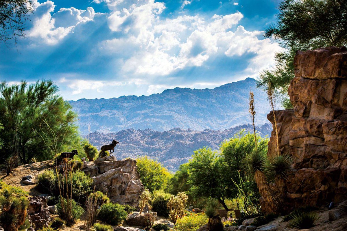 BIGHORN .  A Sublime Sanctuary
ow.ly/kfQU50BcyjQ
#BIGHORNGolfClub #LuxuryLiving #PalmDesertRealEstate