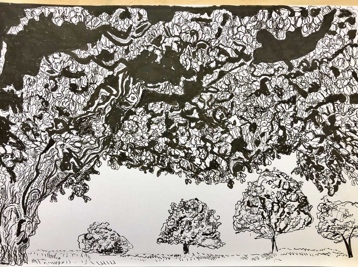 sarah davis (@sardav64) on Twitter photo Finally finished drawing #ink #trees #OakTrees with <a href="/WildDrawing/">Wild Life Drawing</a> with image resources from <a href="/friends_earth/">Friends of the Earth</a> Finally finished drawing #ink #trees #OakTrees with <a href="/WildDrawing/">Wild Life Drawing</a> with image resources from <a href="/friends_earth/">Friends of the Earth</a>