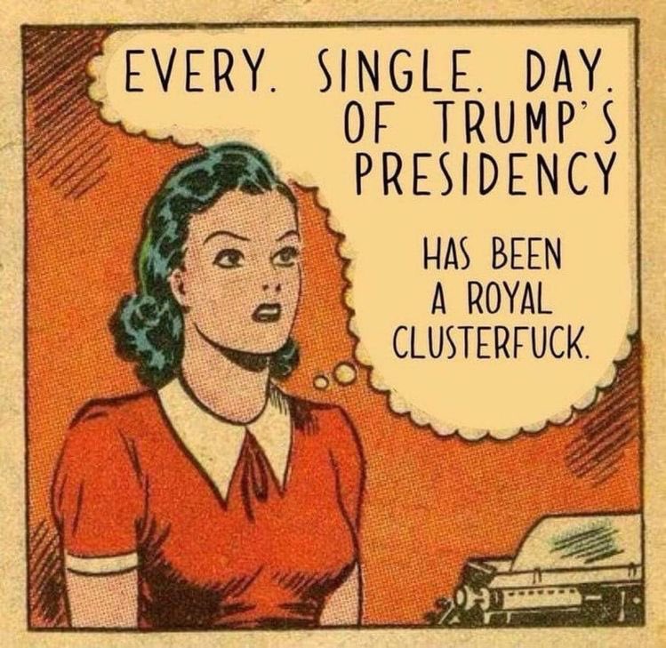 marie5483's tweet photo. @realDonaldTrump Why is it that NO member of the the Bush OR Obama administration or family (in 16 years) EVER wrote books about their corruption, cowardice, chaos & criminality? Care to explain??
#TrumpIsAHeartlessPsychopath
#ToxicTrumpMustGo #TrumpFailure
#MoronInChief #NotAStableGenius https://t.co/ErixBULAIn
