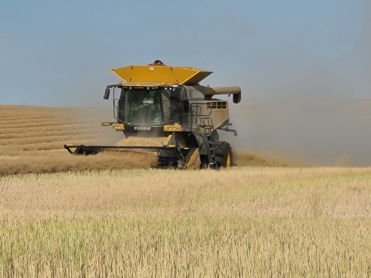 Russell Fersch tweet media