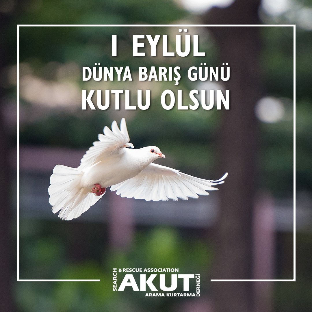 Silahların sustuğu, çocukların güldüğü, özgürce yaşanan bir dünya özlemi ile...
DÜNYA BARIŞ GÜNÜ KUTLU OLSUN
#DünyaBarışGünü