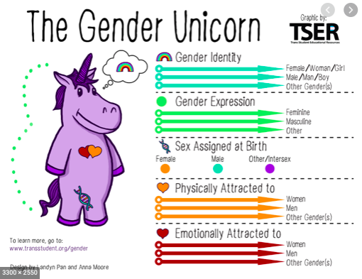 Our first video was from a trans-identified female, who explained the difference between SO and GI. Brantley told us we should sit with the gender unicorn for a while to find out where we are.