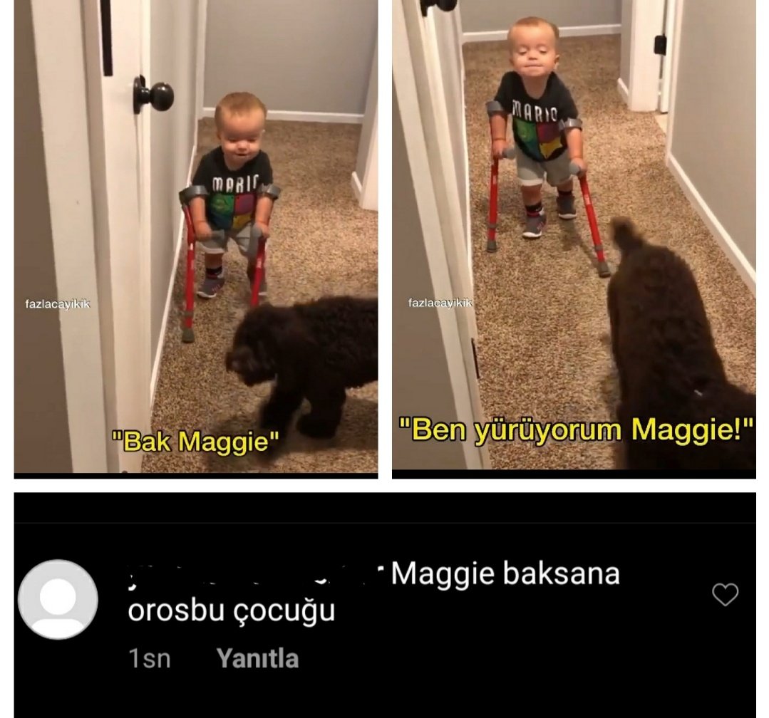 #CocukGelisimciler25Gündür
Maggiyi arıyor