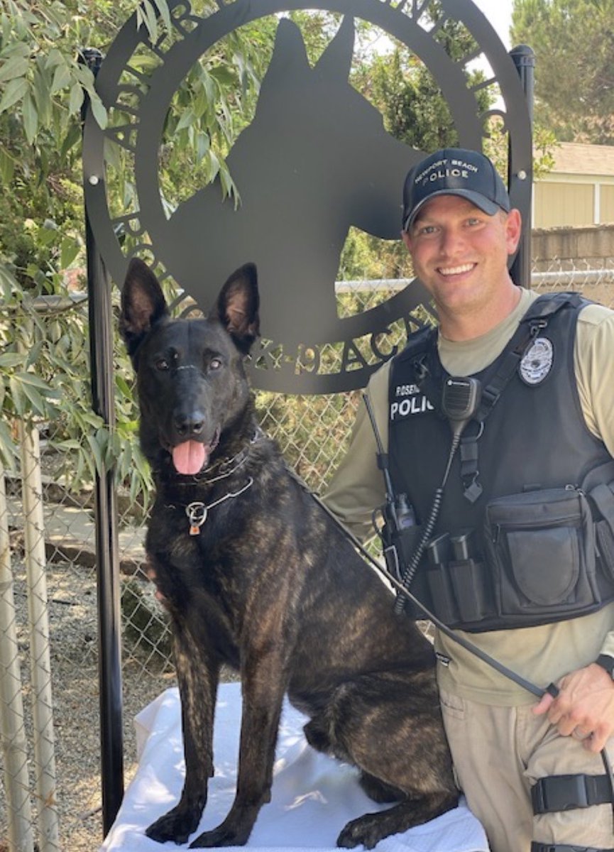 NewportBeachPD's tweet image. Please join us in congratulating Officer Rosenberg and Garth on completing their 6-week training course. Garth is a 2 year old Dutch Shepherd from the Netherlands. K-9 Unit 10-8! #ReadyForService