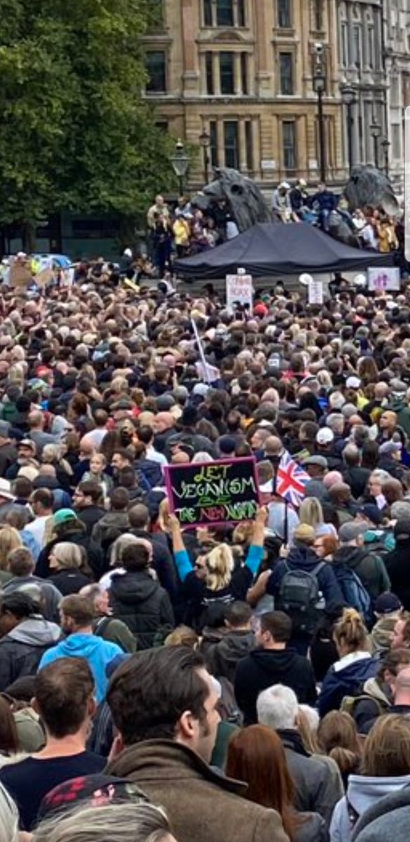 seeing pics from "anti-lockdown" demo at Trafalgar Sq today, you can see how mobilisations cohered around conspiracy theory communities & discourses are able to bring convergence to seemingly far-flung constituencies: from hippy/new age Occupy-types to Right libertarians to Nazis