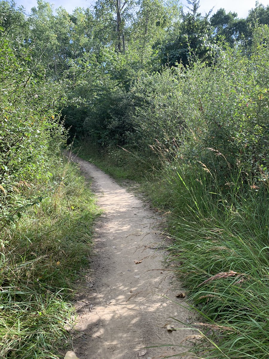 bonbonsandbooks's tweet photo. Went on a #naturehike with my kid. It was nice out! 🌹 💗
.
.
.
.
#instagood #bestoftheday #igaddicted  #instapic #bonbonsandbooks #happycamper #puremi 💗✨ #Weekendfun #naturephotography #naturelover #nature_perfection https://t.co/rXHoHdxUjw