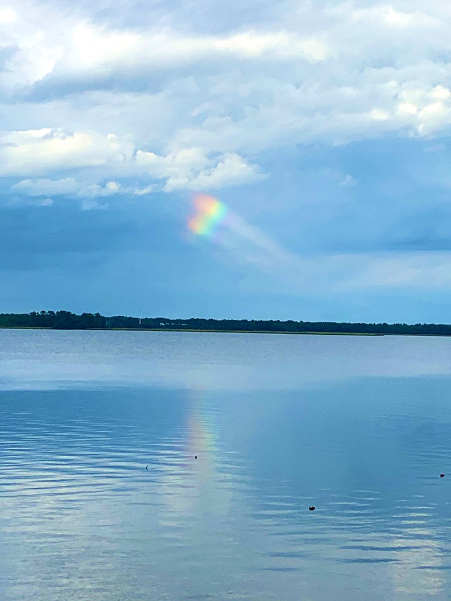 HarrisSamHarris's tweet image. A beautiful sigh on the river in New Bern this afternoon.