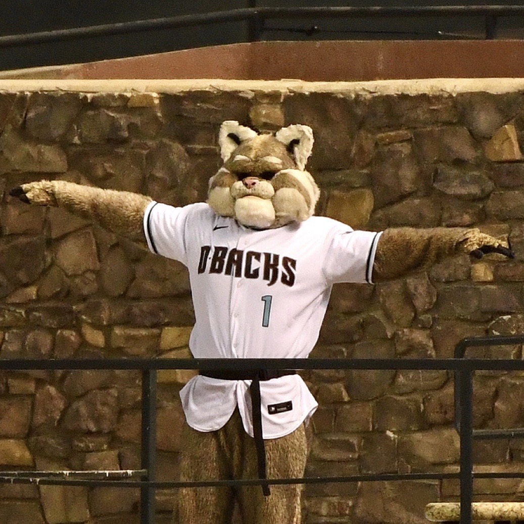 D. Baxter the Bobcat on Twitter: "Just practicing my yoga moves between innings. 😸 https://t.co/BUNXRlbCgQ" / Twitter