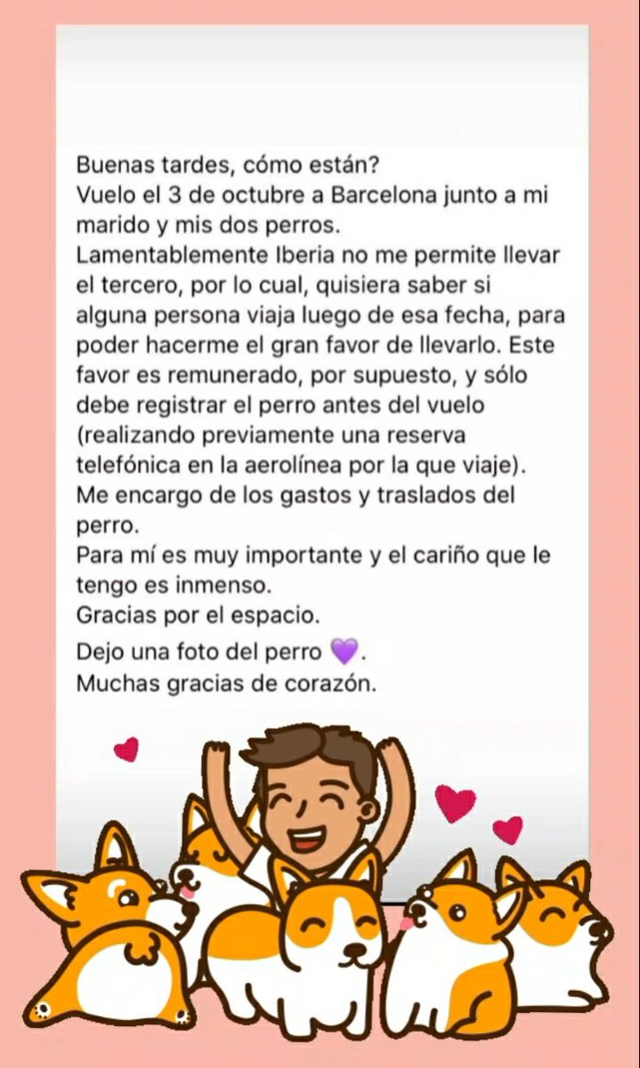 vueloprogramado's tweet photo. ‼‼‼
Ayudemos a Paul a viajar! 🐶🛫🇪🇦
RT por favor!!!❤
#perropaul #perrovarado https://t.co/UWv6IznumX