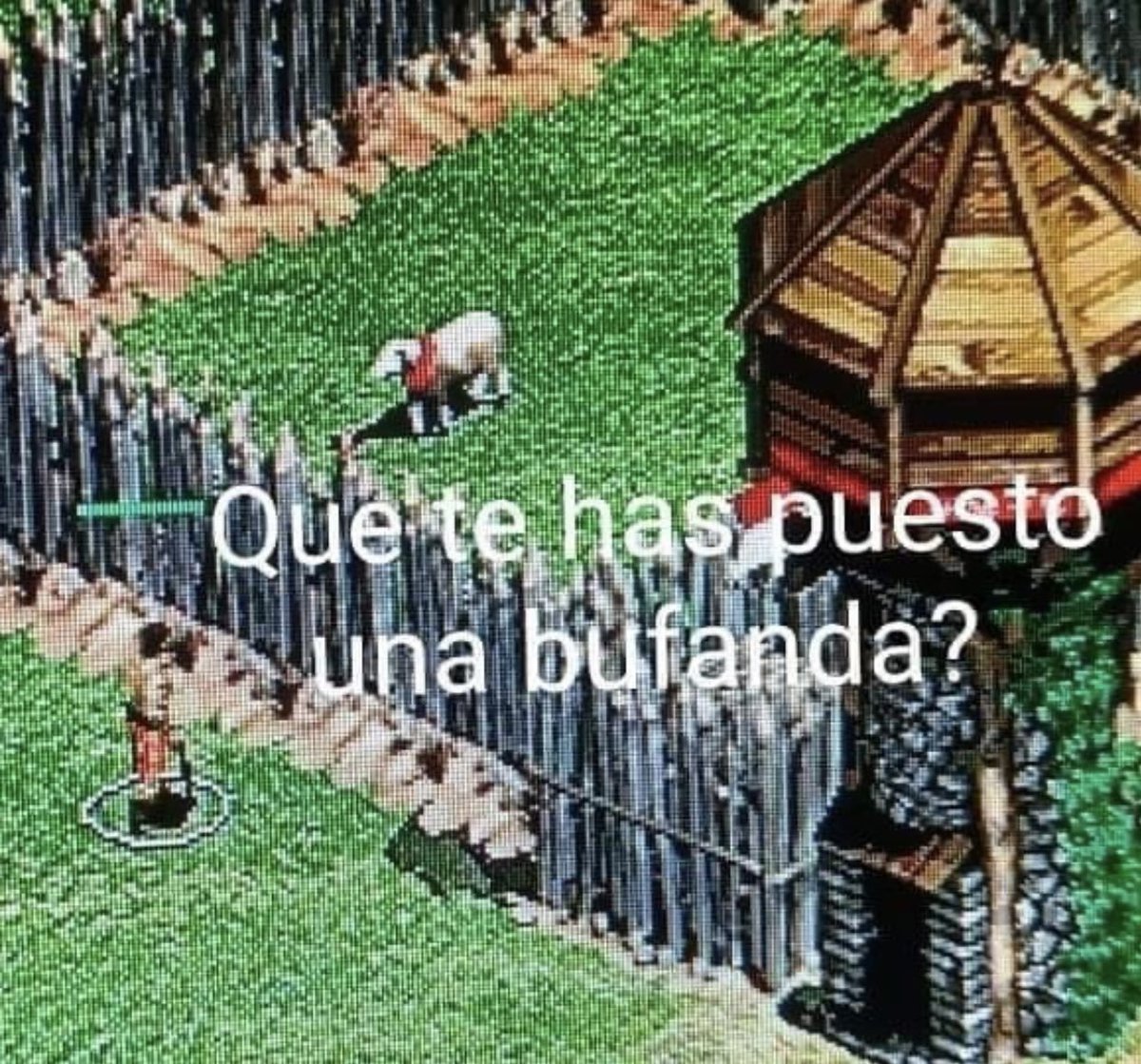 Amo