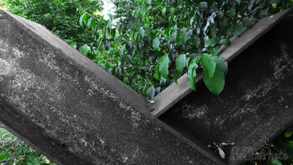 BeThePhotoNL's tweet photo. Ending of ghost track
Camera: Canon EOS 80D 18-55 MM
F: f/18-*-*-5-5-5.6
S: 1/30-40-30-60-40-15
ISO: 1250-2000-1600-160-*-*
-0.3/-0.7-stap
#edited #blackwhite #color https://t.co/UcqkCkpsRC