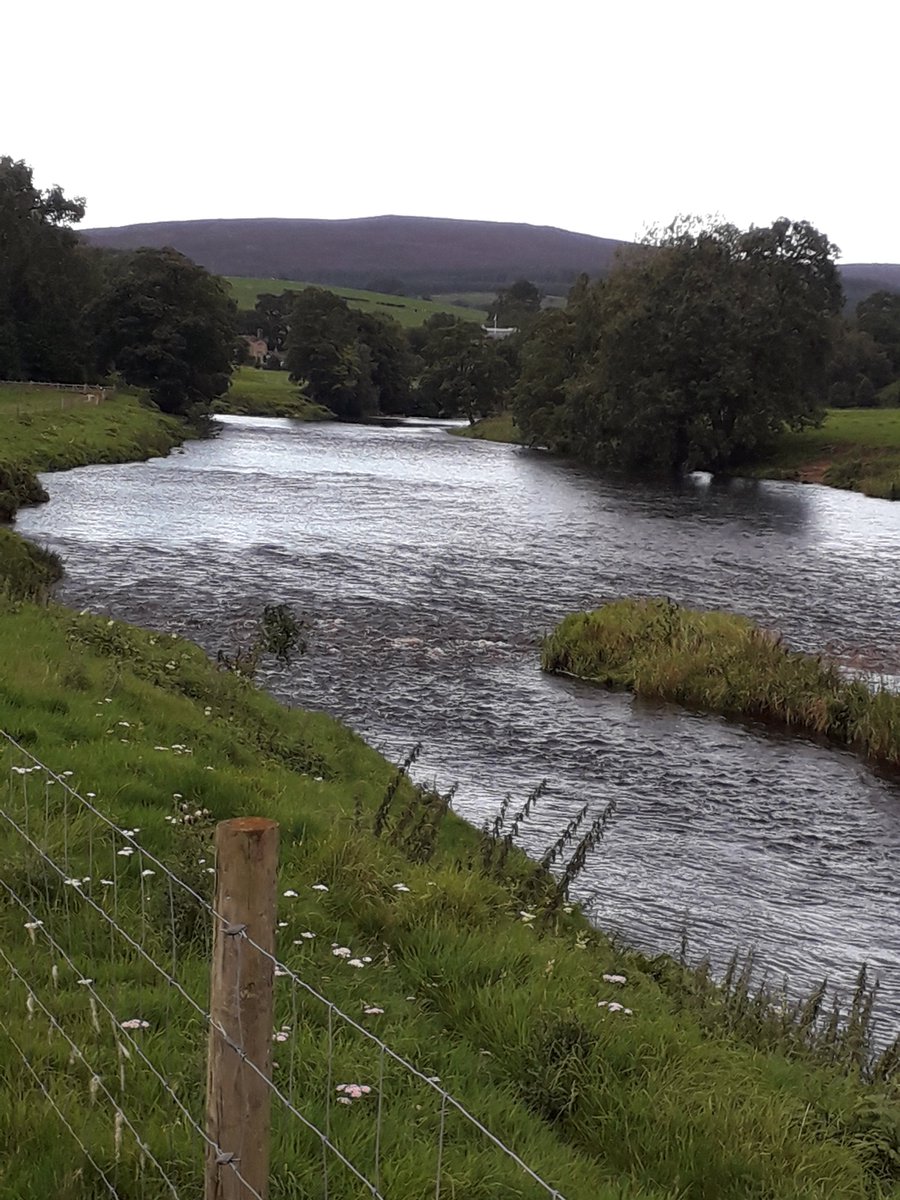 Fruits of the Reformation. #BoltonAbbey #spiritualnourishment