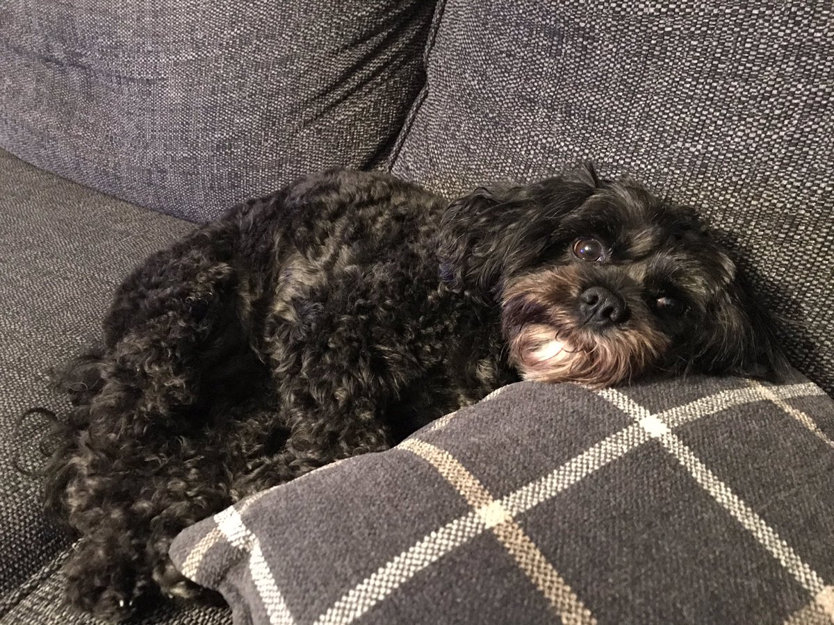 Chilling on a Saturday night.