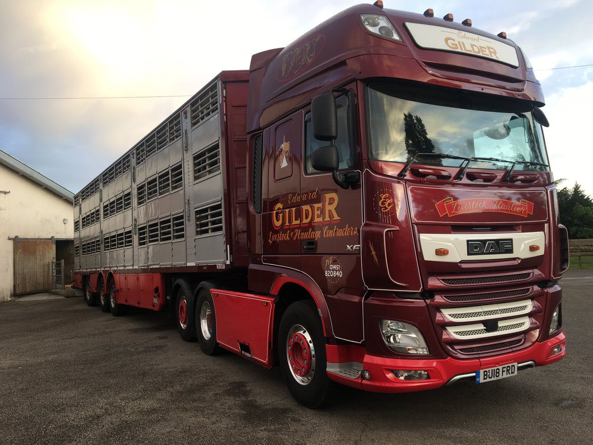 Gildertransport's tweet photo. A little bit of what we do #highhealth #Pedigree #Livestock #machinery #Genralhaulage #Tempreturecontrolled https://t.co/8yYLhCqPyH