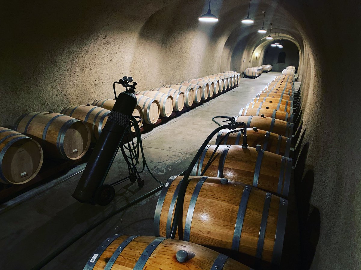 Friday 8.28.20 6:45PM: Labor intensive yet totally anaerobic gentle argon bulldog racking achieved— our estate grown 2018 West Wall Cabernet Sauvignon is already stunning in barrel and going to bottle next week.