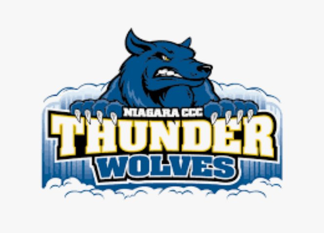 TWolvesScout's tweet photo. Congratulations to Thunderwolves Baseball 2021 @rafaels80013123 on his commitment to continue his academic and athletic career at @NiagaraTwolves !
#CollegeTrainingGround https://t.co/ngYSlnvZyF