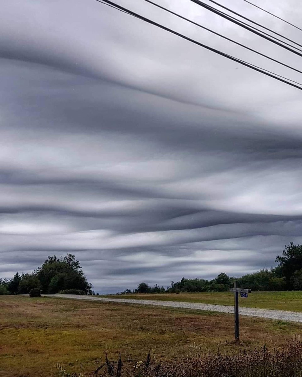 Gisele Theriault tweet media